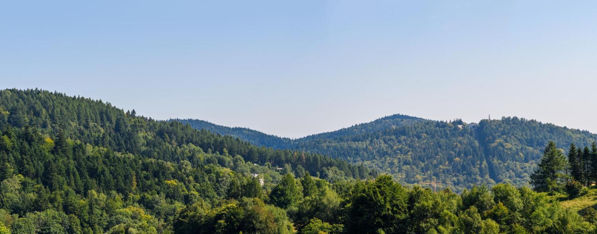 Sloneczne Apartment Krynica Zdroj